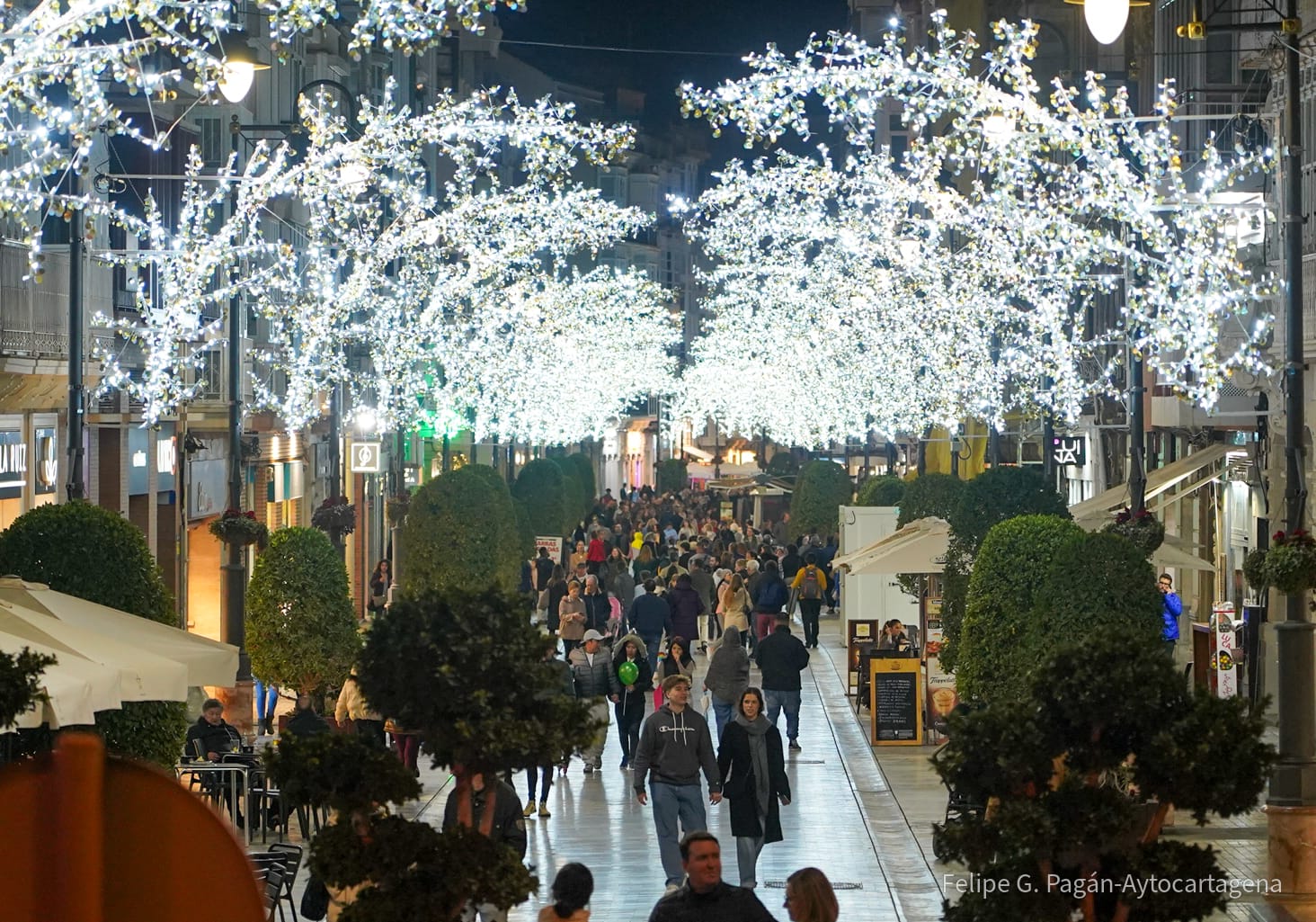 Cartagena en Navidad