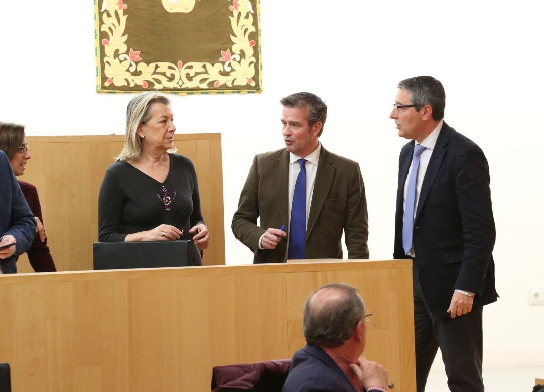 Pleno de la diputación de málaga mes de febrero de 2019 caracuel salado y vícto