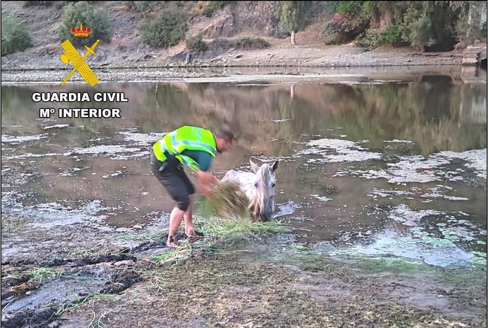 La Guardia Civil rescata un caballo en un lodazal del río Jándula.