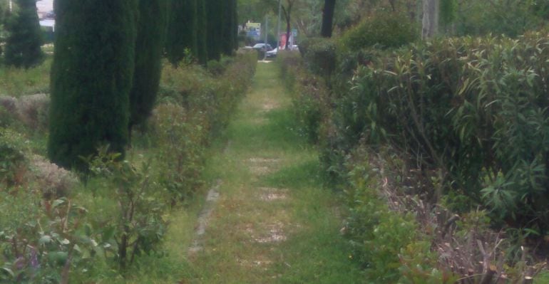 Una de las fotografías que demuestran el estado de abandono de Moscatelares