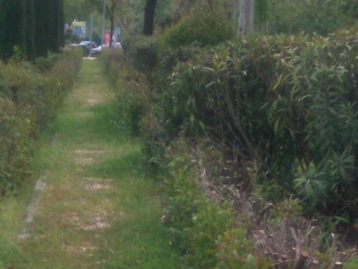 Denuncian la dejación de Moscatelares