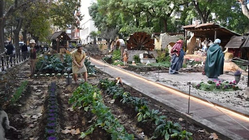 Belén de Xàtiva, 2025