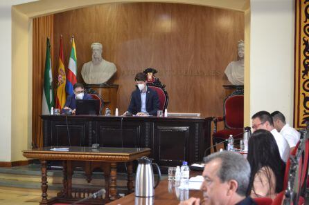 Imagen de la sesión plenaria de hoy, 11 de junio de 2020