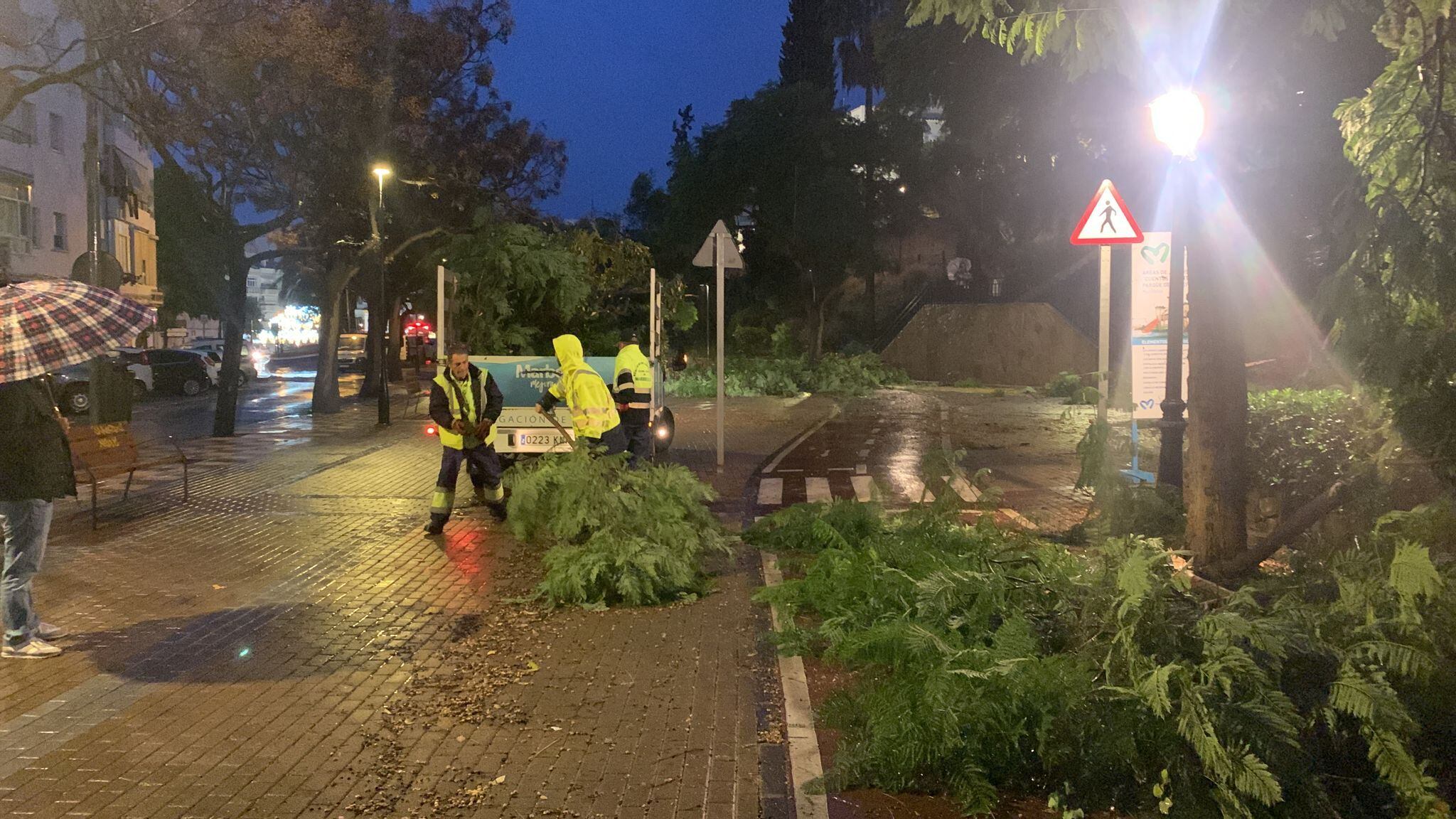 Operarios en Marbella retirando árboles