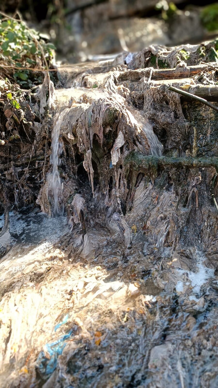 Vertidos al río Burbia