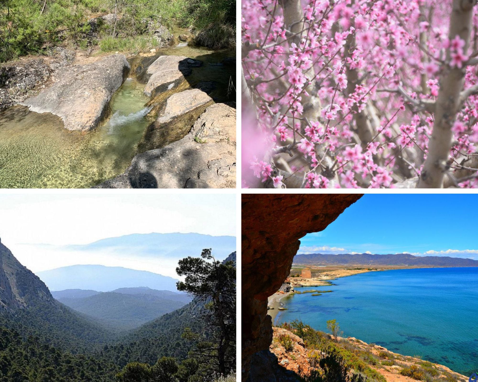 Moratalla, Cieza, Sierra Espuña y Cabo Cope