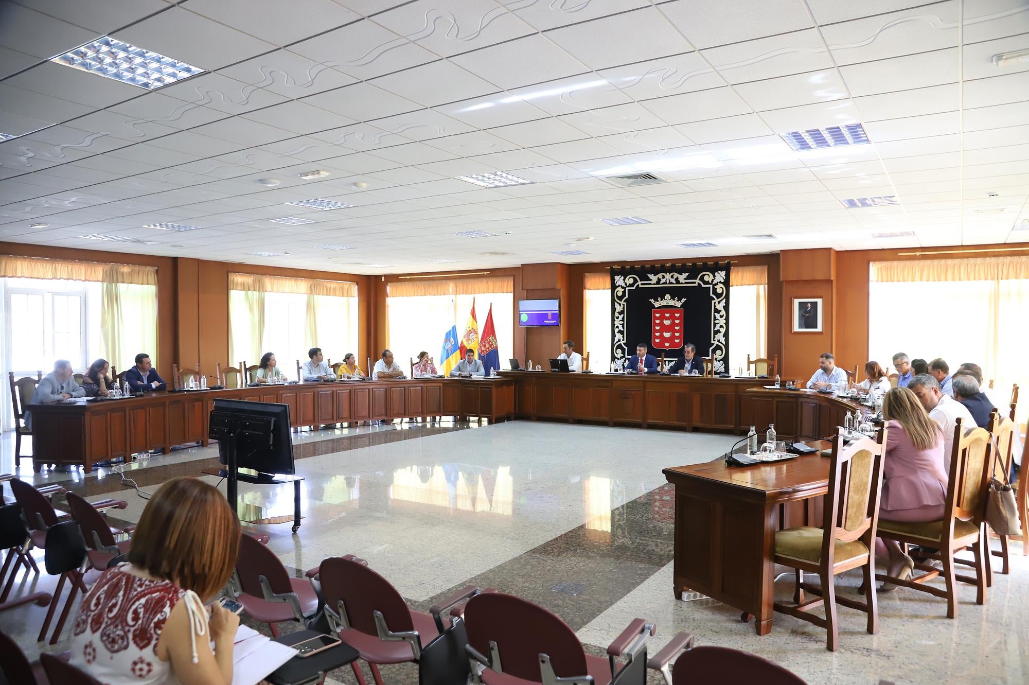 Pleno del Cabildo de Lanzarote