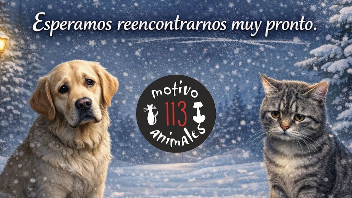 Suspendido el evento solidario Navimalid en la plaza España de Valladolid