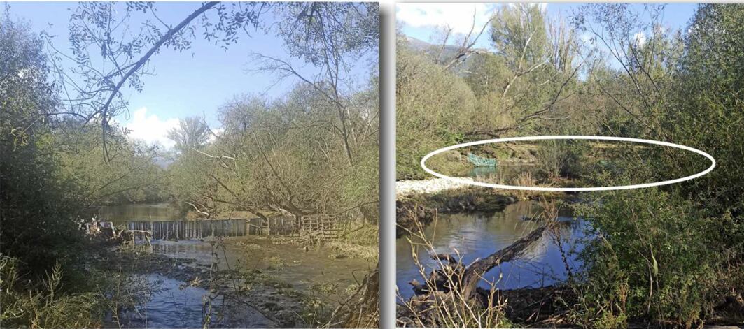 Ecologistas denuncian la construcción de vallados de los ganaderos sobre el río Lozoya