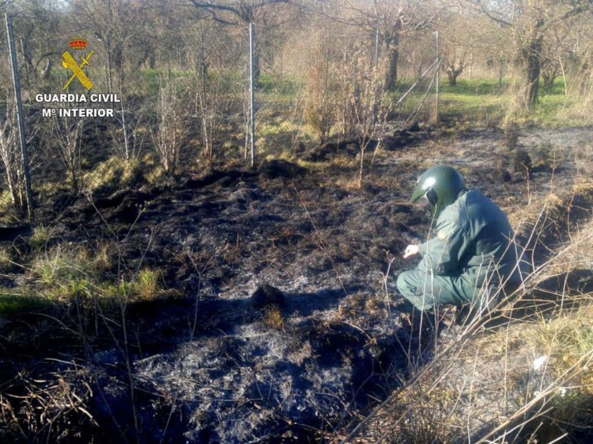 20 investigados en León por incendios forestales