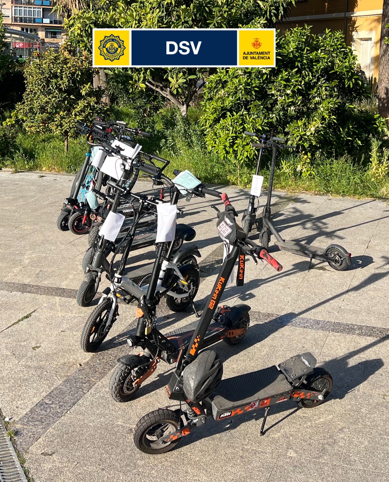 Vehículos de movilidad personal (VMP) inmovilizados por la Policía Local de València