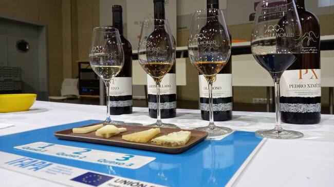 Cata del vino DO Montilla Moriles