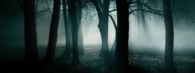 Nos adentramos en bosques con abundantes fenómenos paranormales