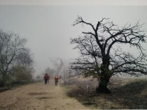 'Un día de niebla' se llevó el premio especial 'Camino del Sureste'