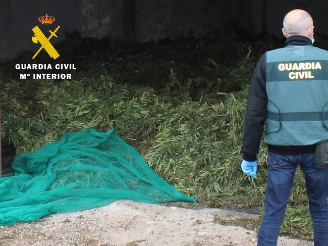 La Guardia Civil ha desarticulado un grupo criminal dedicado al tráfico de marihuana mediante cultivo ilícito de cáñamo