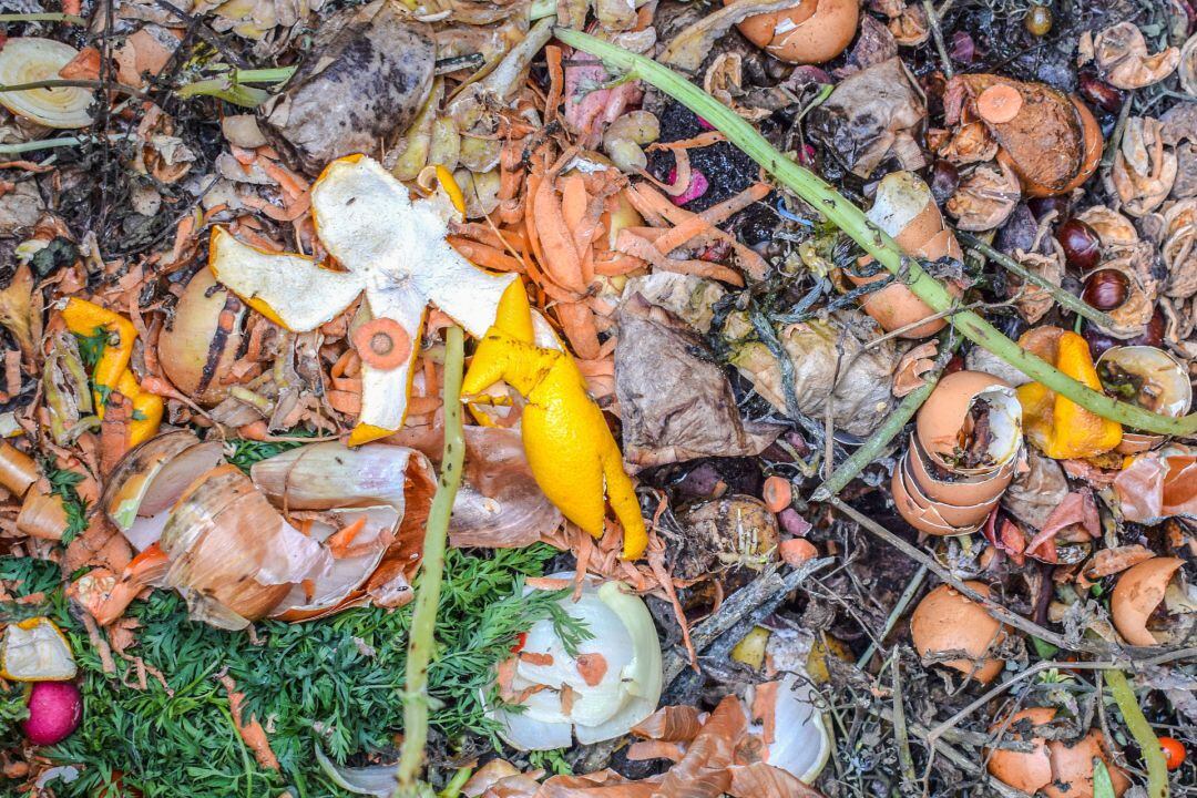 Residuos orgánicos domésticos de los que se puede hacer compost 