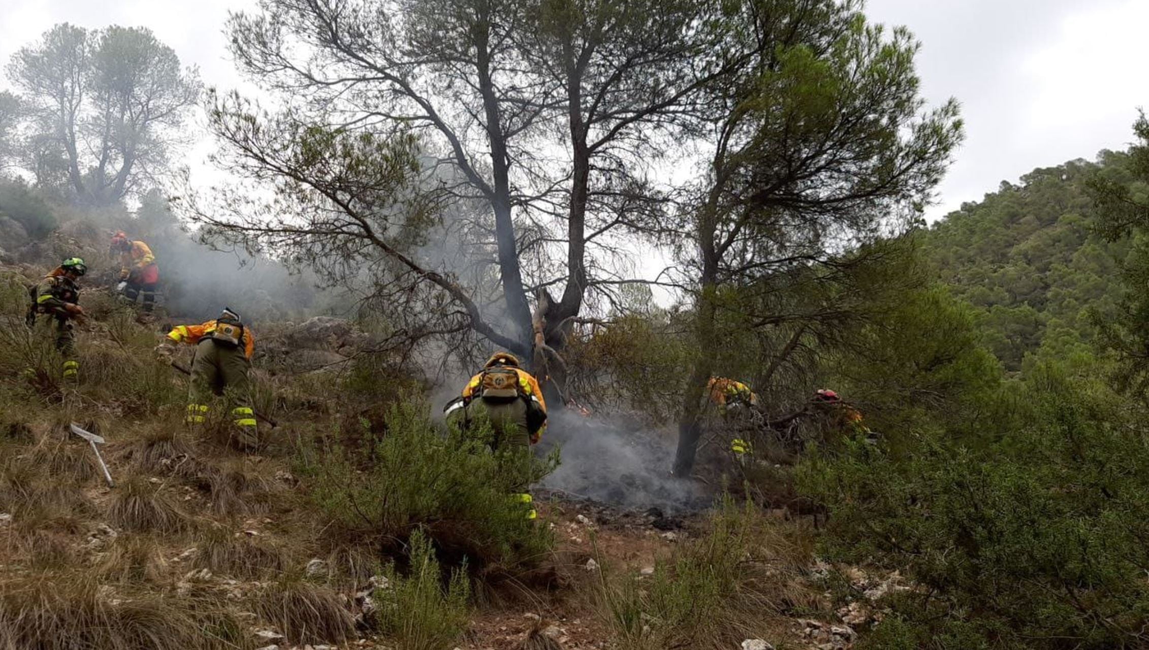 Bomberos trabajan en un incendio forestal declarado en la Sierra de Gavilán de Caravaca de la Cruz