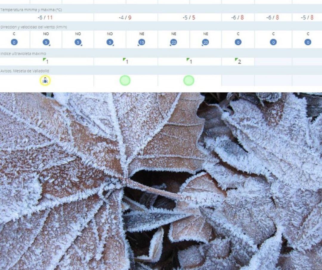 Las temperaturas mínimas en Peñafiel están dejando cifras que no superan los -4ºC.