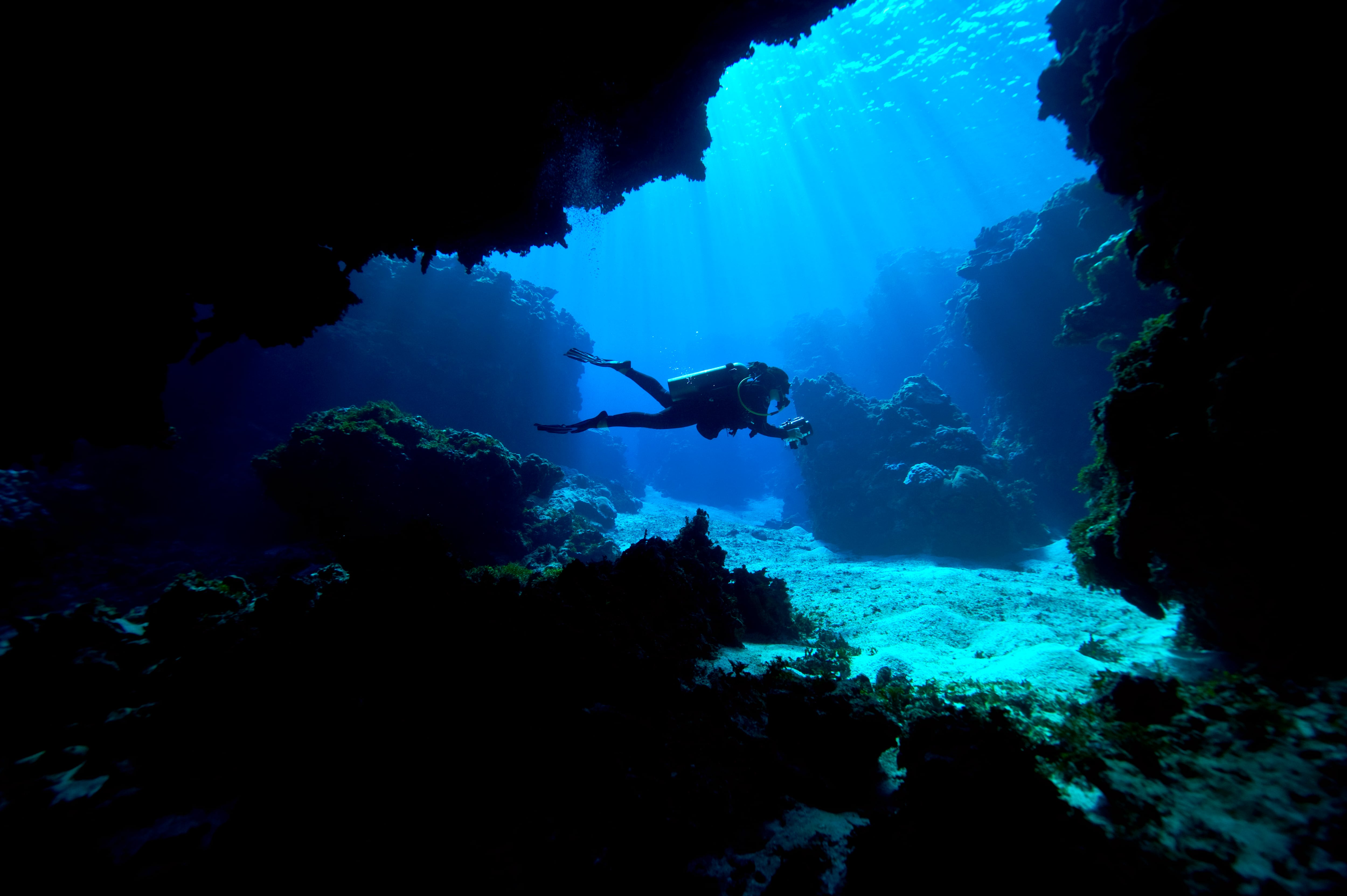 Una persona bucea a través de unos arrecifes de coral.