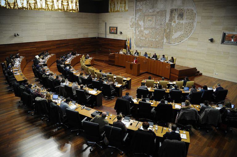 Pleno de la Asamblea
