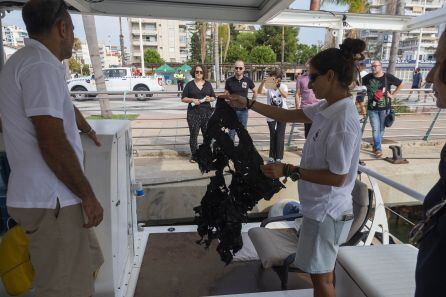 Barco de la ONG WWF en el puerto de Gandia.