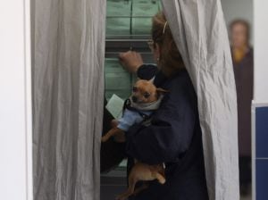 GRA152. CÓRDOBA, 22/03/2015.- Una mujer selecciona las papeletas con su perro en brazos antes de votar en las elecciones autonómicas para la Junta de Andalucía, hoy en un colegio de Córdoba. Los 9.873 mesas electorales andaluzas han abierto hoy con normalidad para que puedan ejercer su derecho al voto los 6.496.685 electores convocados en los décimos comicios andaluces. EFE/Salas