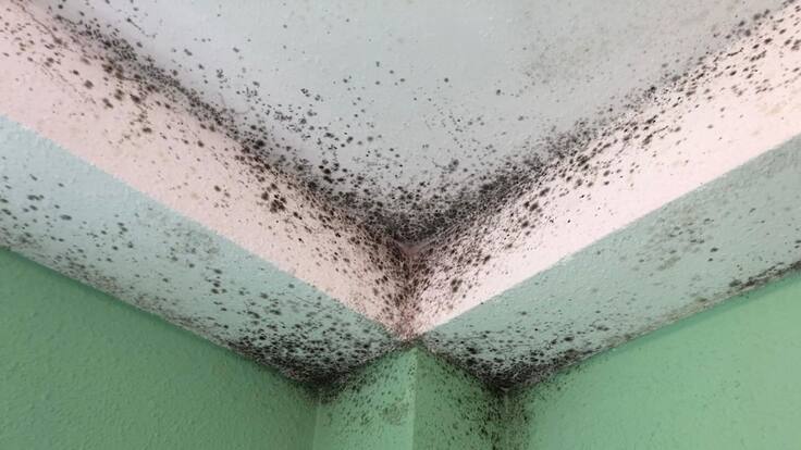 Entrevista a la tutora de 4º B y un miembro del AMPA del CP Evaristo Valle