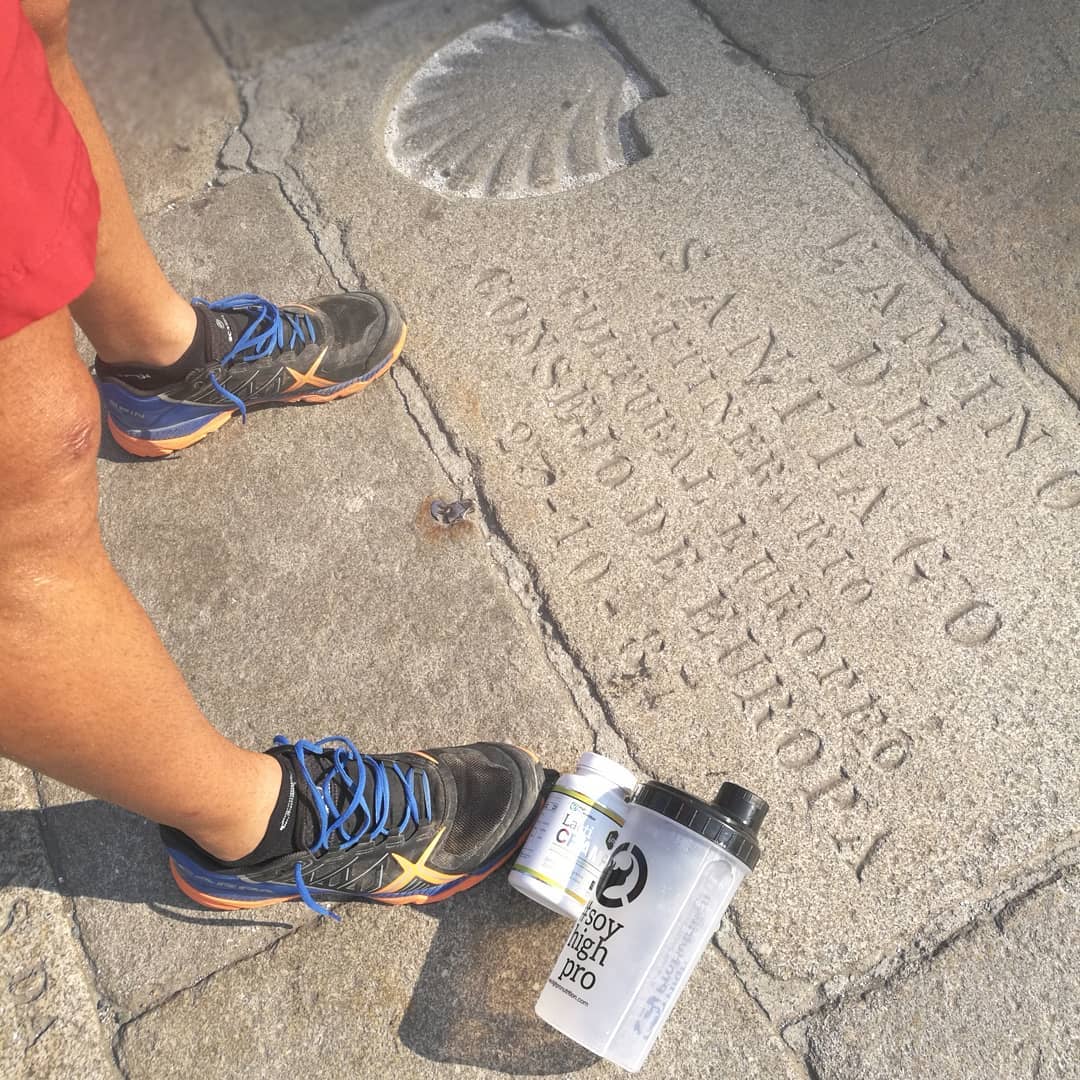 Piedra tallada en el Camino de Santiago