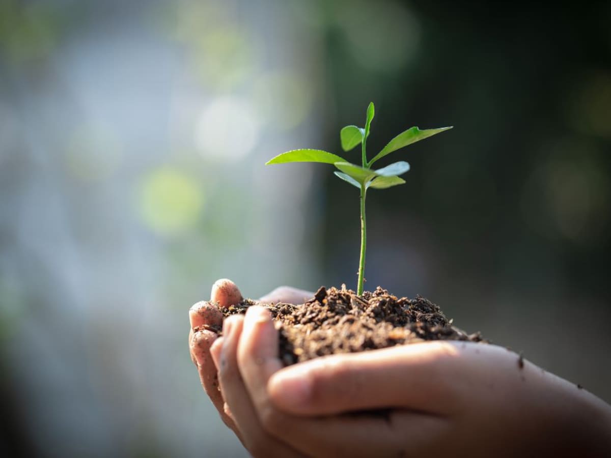 Programa especial UVa: II Encuentros de Verano