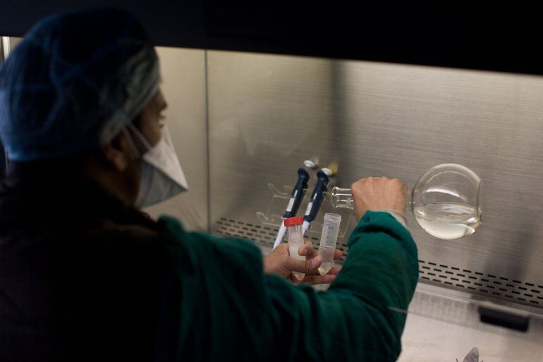 Tres milions de persones a tot el món estan infectades de tuberculosi