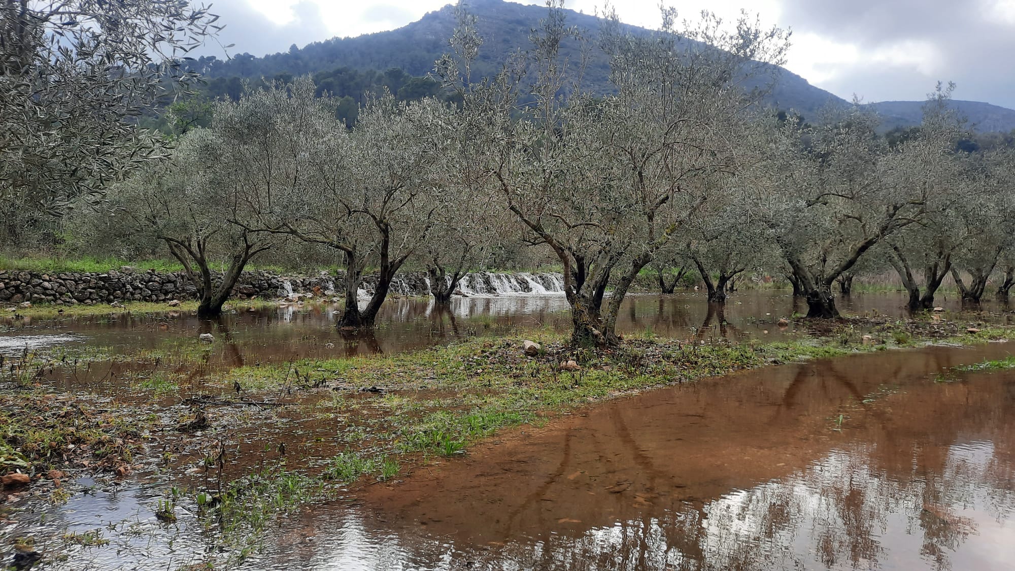 Bancal anegado tras las lluvias