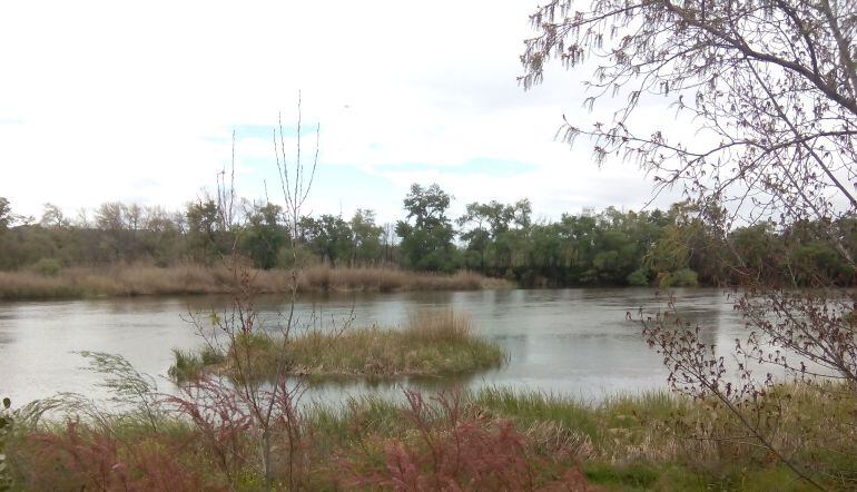 Río Tajo a su paso por Talavera