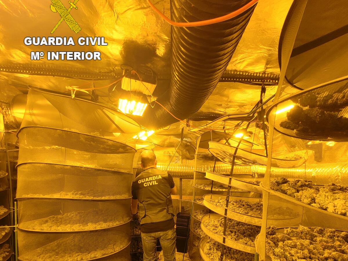 Desmanteladas tres plantaciones indoor de Marihuana en Saelices, Barajas de Melo y Villar de Cañas