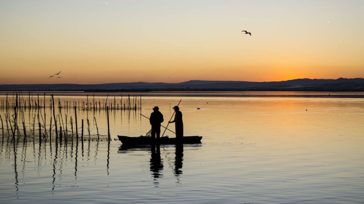 La Junta de Desagüe niega ser la responsable de la escasez de agua en la Albufera
