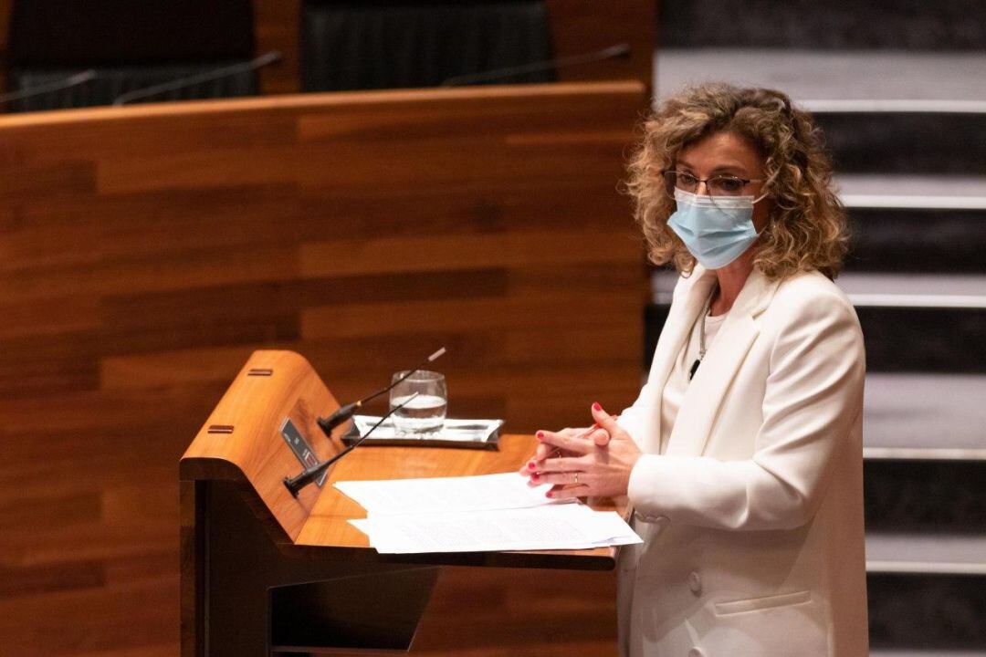 La portavoz de C's en la Junta, Susana Fernández, durante una intervención.