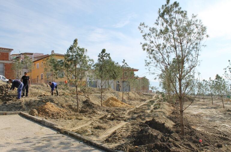 La primera fase de construcción del parque, se está realizando con la plantación de árboles.