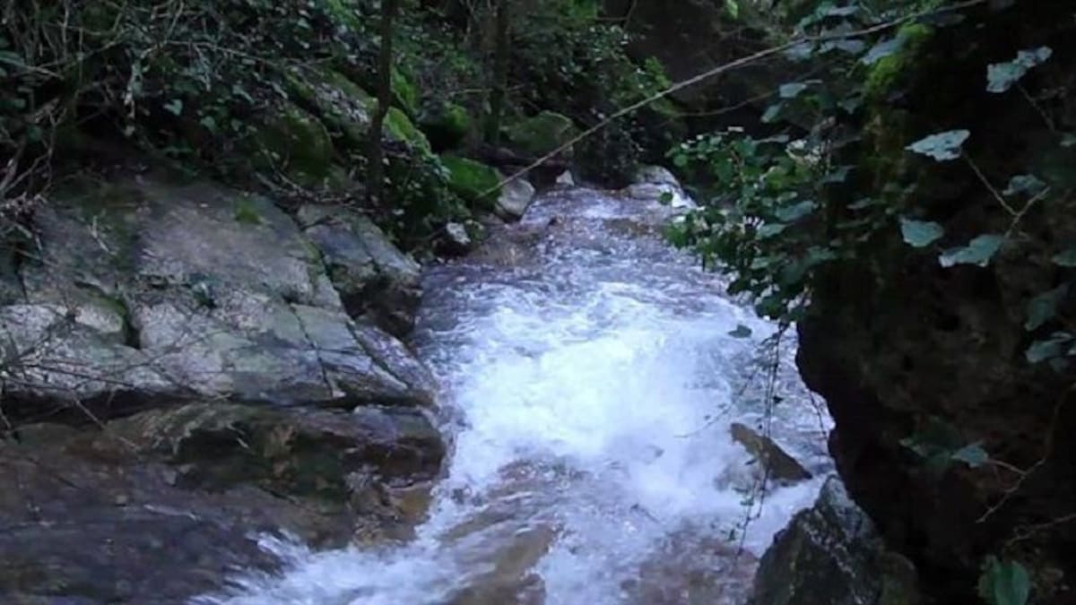 La autopsia confirma que el menor murió ahogado