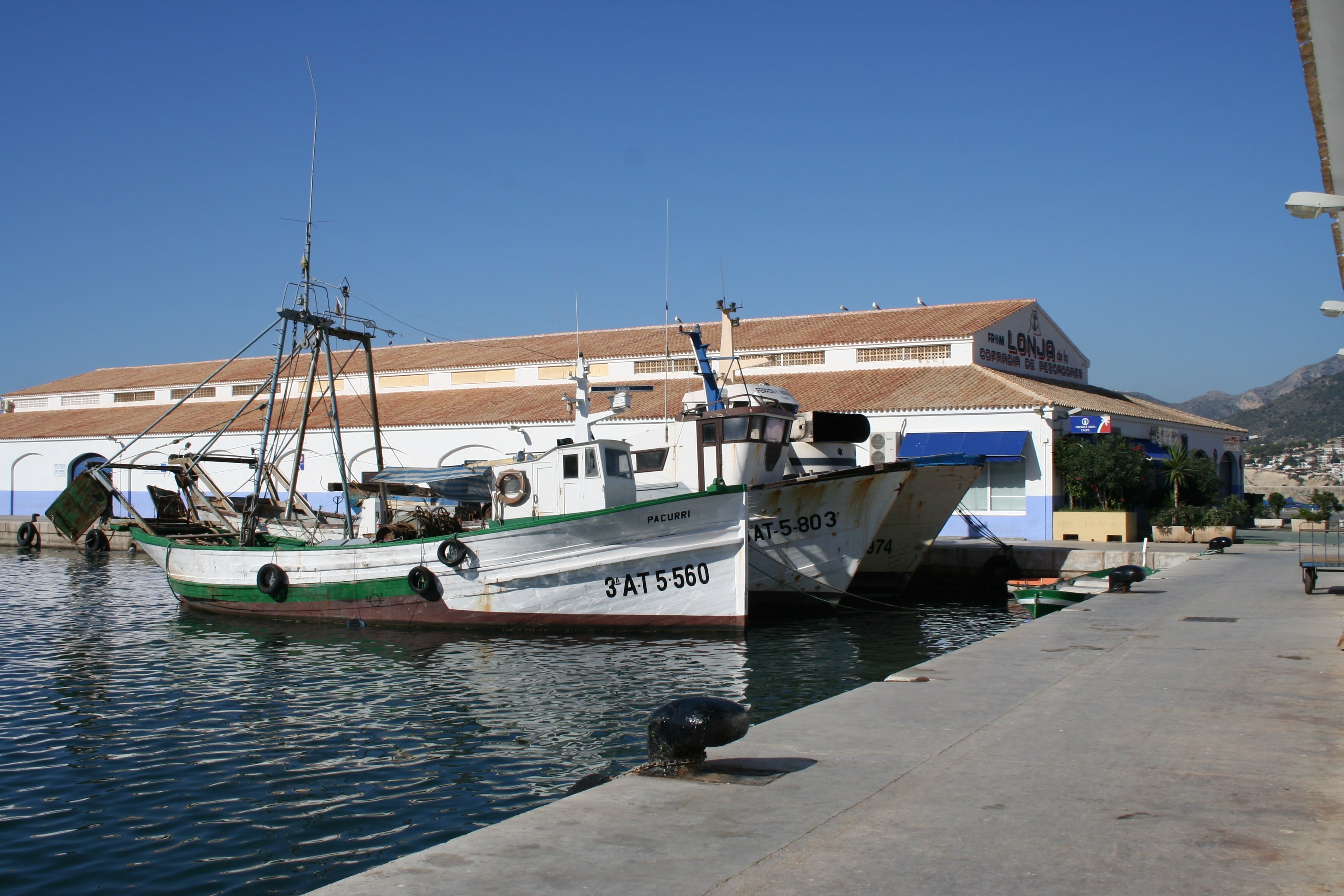 Puerto pesquero de Calp