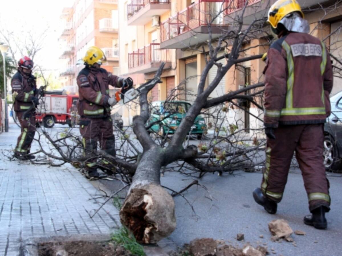 El vent deixa prop de 400 incidències a Catalunya