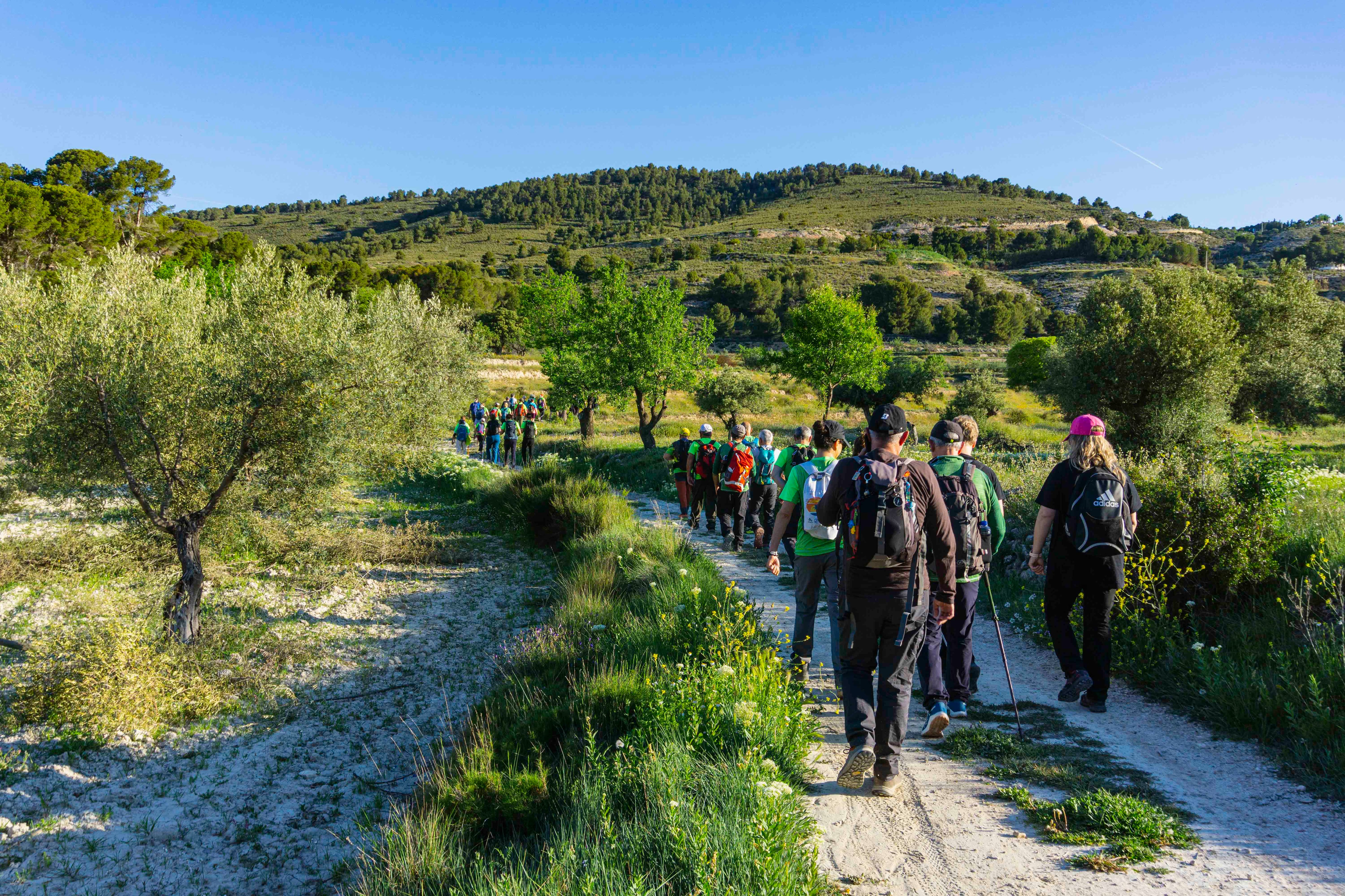Aviana en la ruta de las ermitas de Ibi