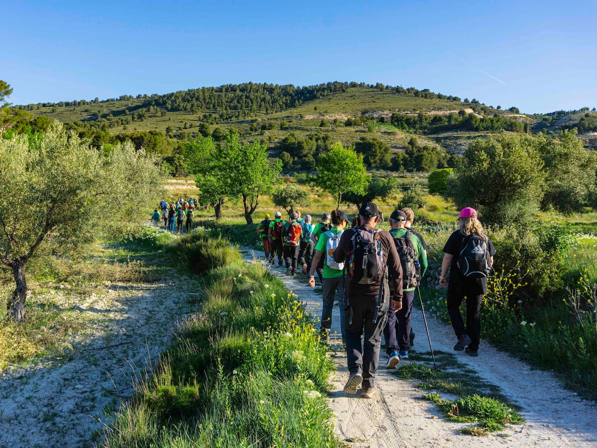 Aviana, en la ruta de las ermitas de Ibi