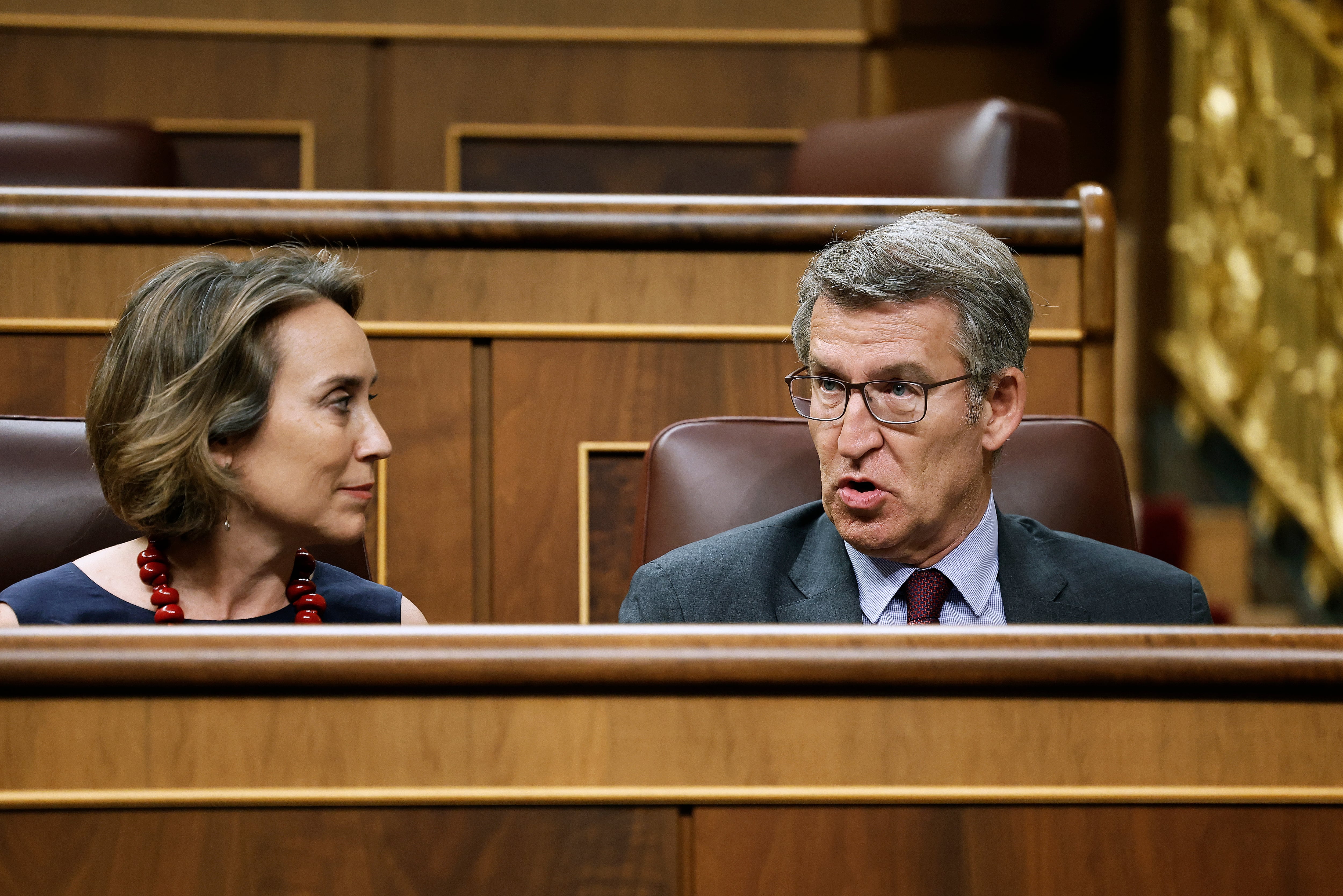 Cuca Gamarra y Alberto Núñez Feijóo, en el Congreso.