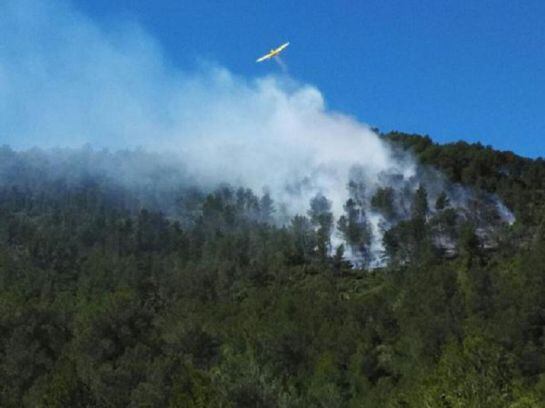 Trabajos de extinción del incendio forestal en Artana