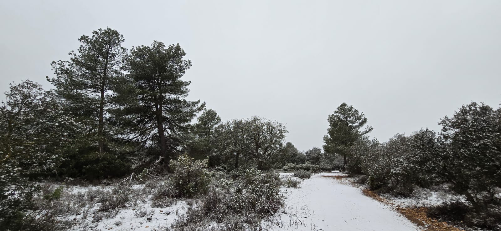 Nevada en puntos altos del Noroeste