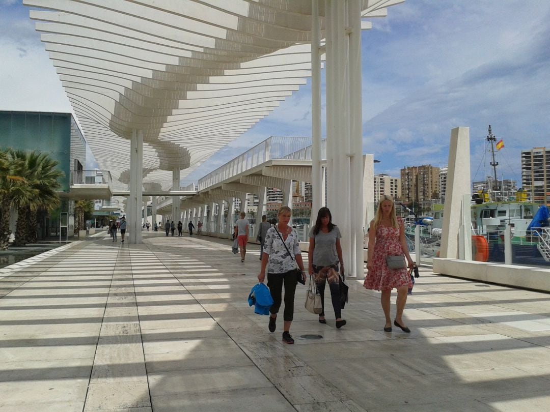 Turistas palmeral de las Sorpresas Muelle Uno Puerto Málaga 