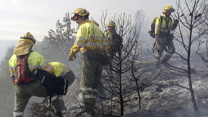 Efectivos del cuerpo y brigadas forestales durante las labores de extinción del incendio