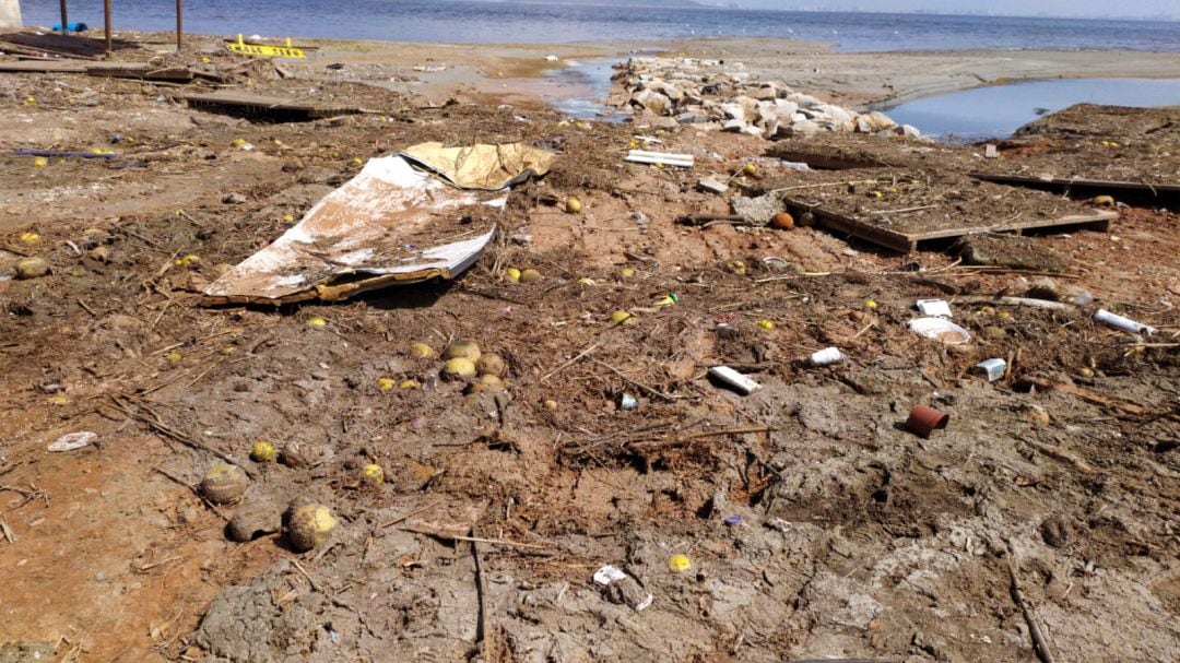 Melones arrastrados por la gota fría hasta la orilla del Mar Menor