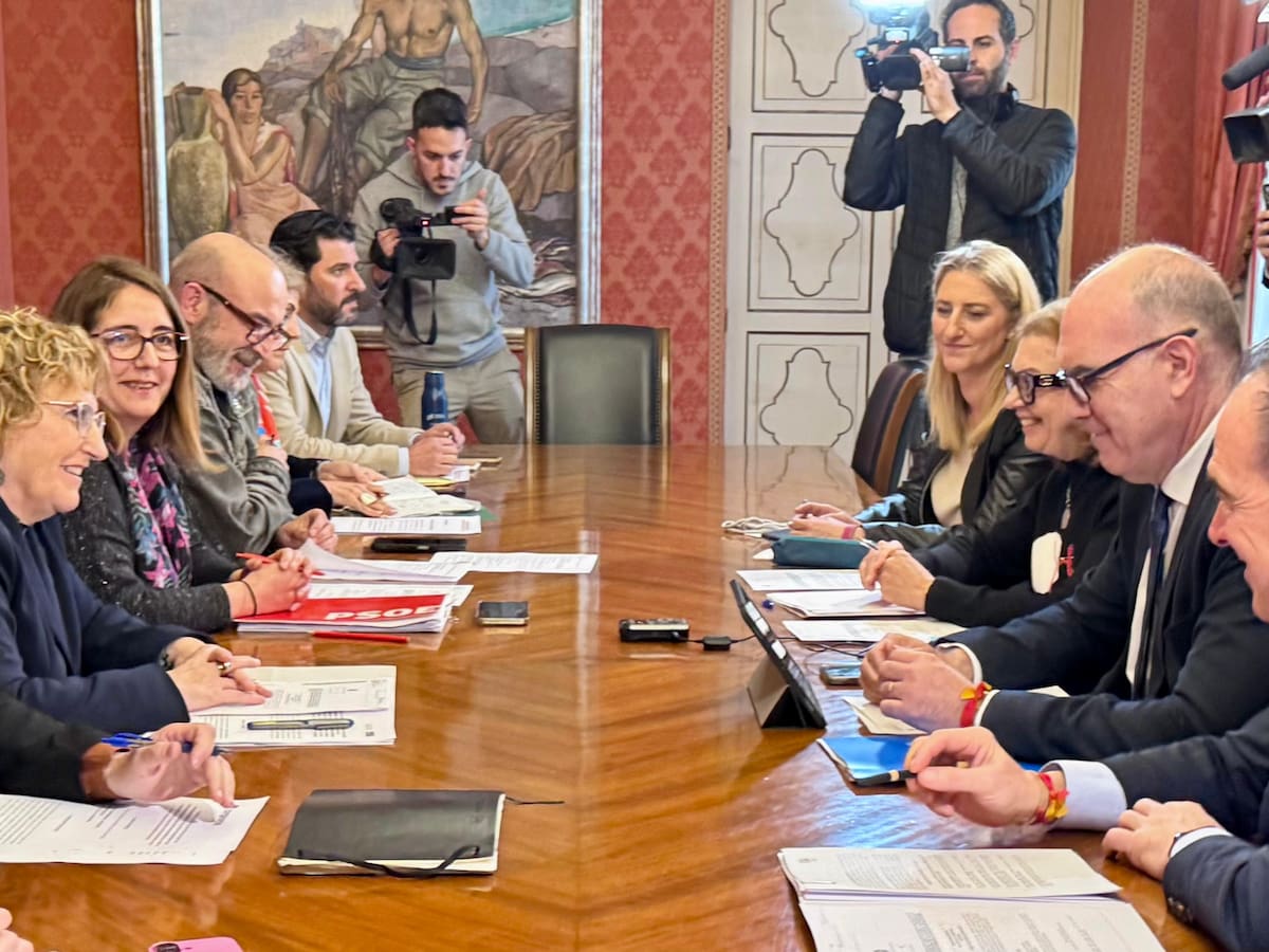 La comisión municipal sobre las VPP de Alicante llamará a comparecer a Barcala y al exalcalde Echávarri