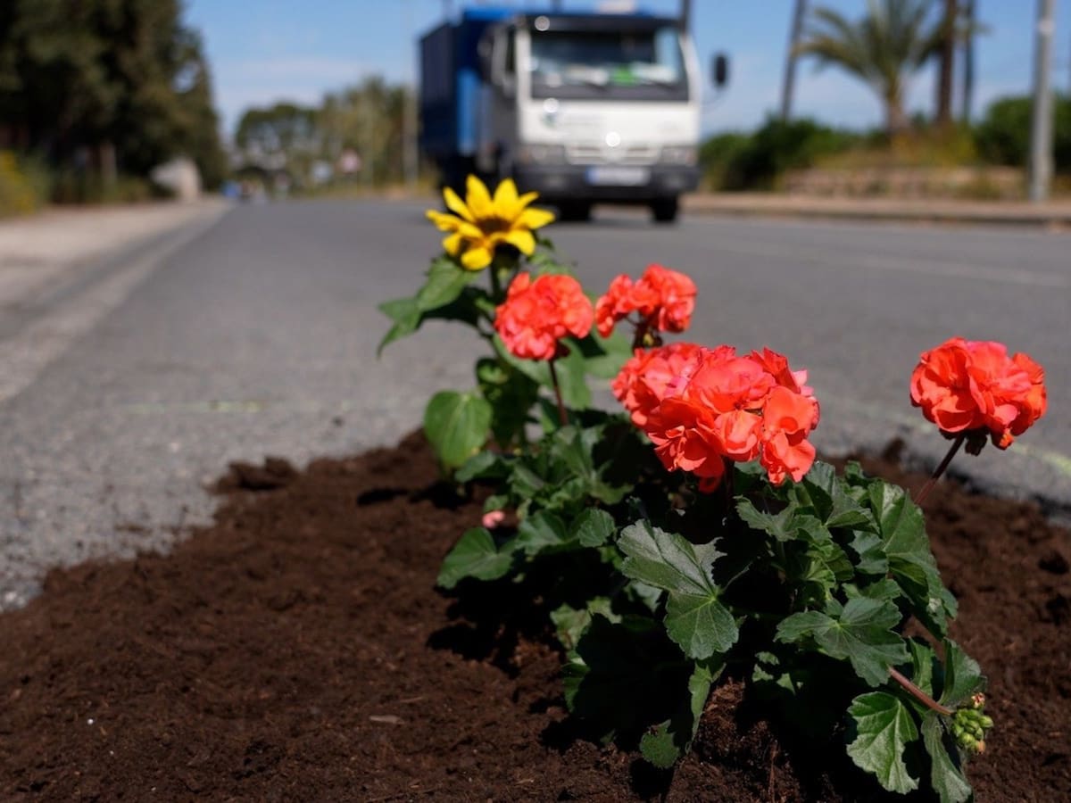El PSOE de Murcia inicia la campaña 'Una flor en cada bache' para visibilizar los daños en las carreteras