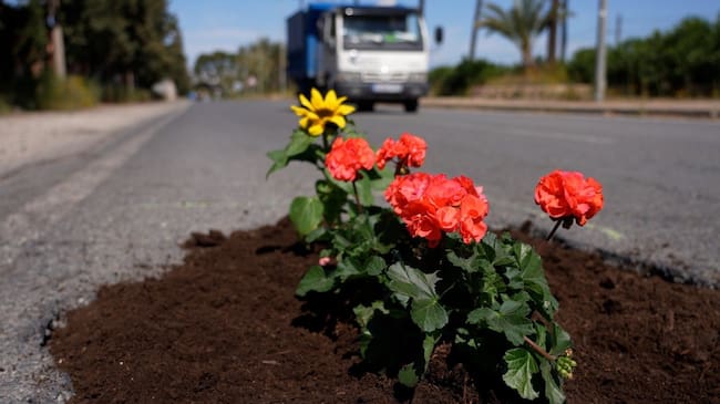 Imagen de una carretera de Sangonera la Verde con la campaña 'Una flor en cada bache' del PSOE de Murcia